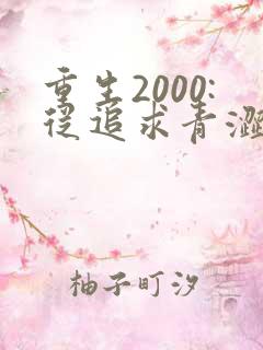 重生2000:从追求青涩校花同桌开始第二部