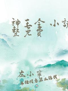神王令 小说完整免费
