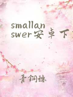 smallanswer安卓下载