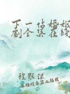 下一站婚姻电视剧全集在线观看免费