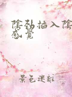 阴劲插入阴道的感觉