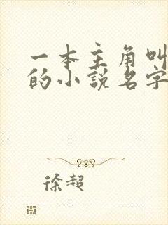 一本主角叫叶凡的小说名字是什么