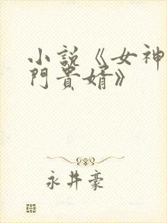 小说《女神的上门贵婿》