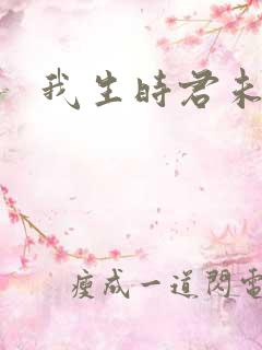 我生时君未生