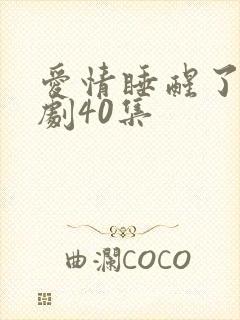 爱情睡醒了电视剧40集