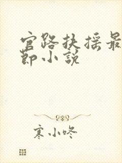 官路扶摇最新章节小说