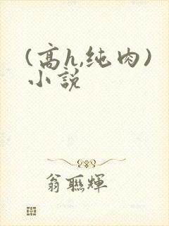 (高h,纯肉)小说