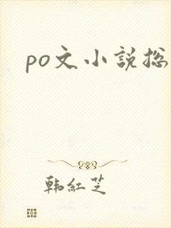 po文小说总裁