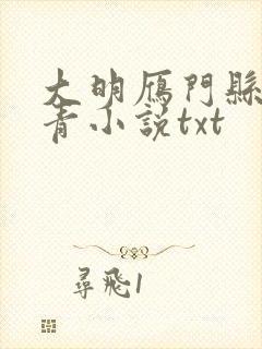 大明雁门县令叶青小说txt