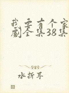 我要有个家电视剧全集38集免费观看