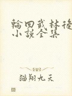 轮回武林后宫录小说全集
