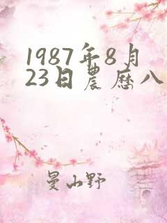 1987年8月23日农历八字