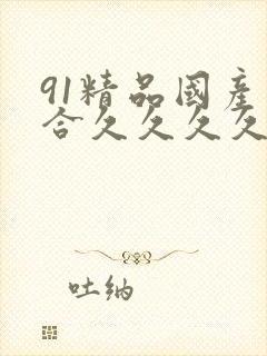 91精品国产综合久久久久久小公