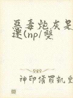 恶毒炮灰是万人迷(np/双