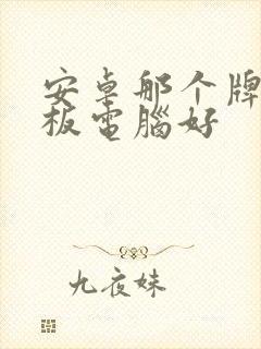 安卓那个牌子平板电脑好