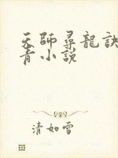 天师寻龙诀皮剑青小说