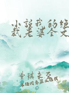 小说我的绝美总裁老婆全文阅读