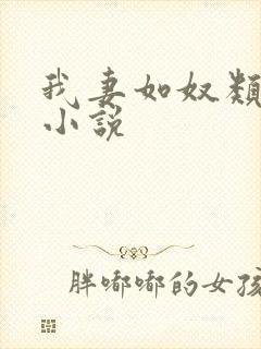 我妻如奴类似的小说