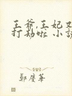 王爷,王妃又去打劫啦 小说