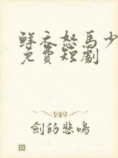 鲜衣怒马少年郎免费短剧