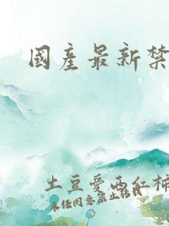 国产最新禁片
