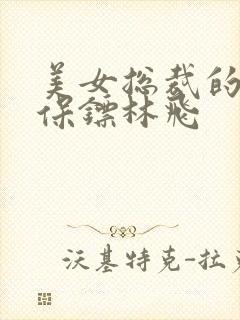 美女总裁的神级保镖林飞