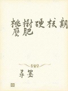 桃树硬核期施什么肥