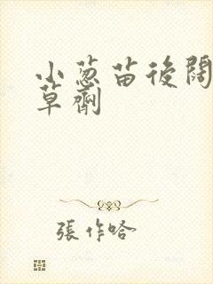 小葱苗后阔叶除草剂