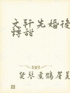 文轩先婚后爱虐转甜