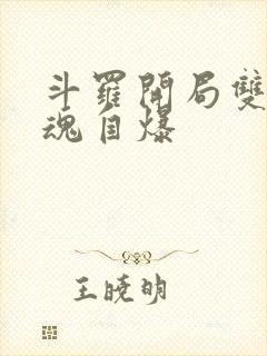 斗罗开局双生武魂自爆
