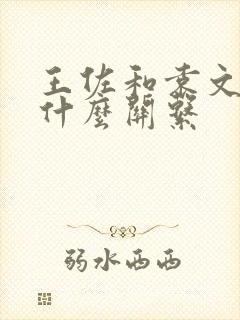 王佐和袁文才是什么关系