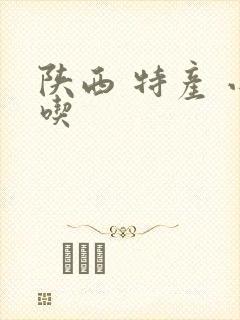 陕西 特产 小吃