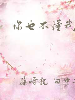 你也不懂我