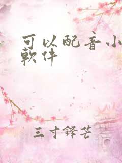可以配音小说的软件