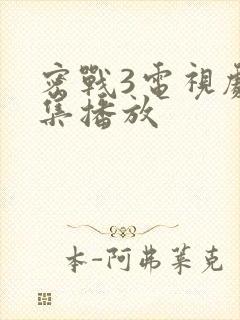 密战3电视剧全集播放