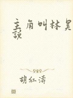 主角叫林昊的小说