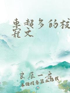 车超多的校园甜宠文