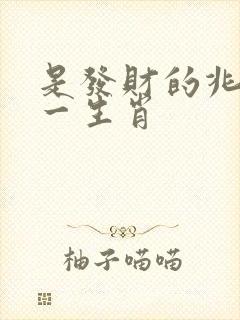 是发财的兆头打一生肖