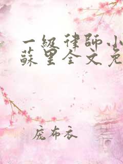 一级律师小说木苏里全文免费阅读