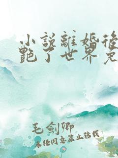 小说离婚后她惊艳了世界免费下载