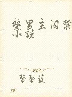 双男主囚禁调教小说