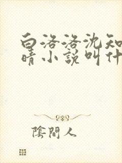 白洛洛沈知景夏晴小说叫什么名字来着