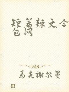 短篇辣文合集书包网