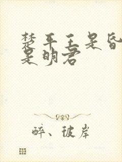 楚平王是昏君还是明君