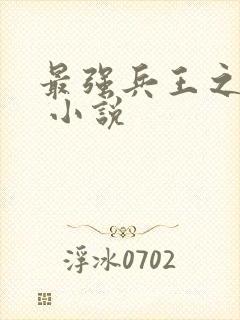 最强兵王之罗铮 小说