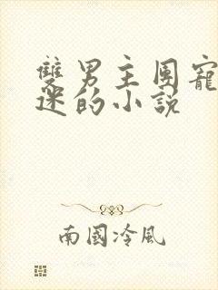 双男主团宠万人迷的小说