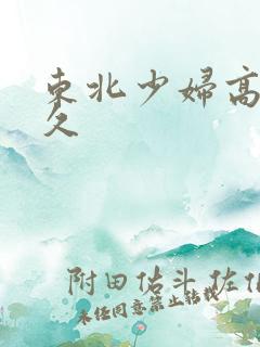 东北少妇高潮久久