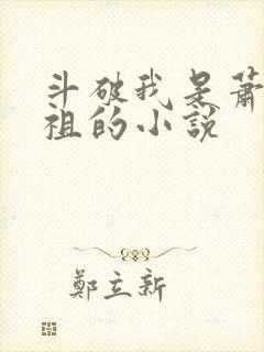 斗破我是萧家老祖的小说