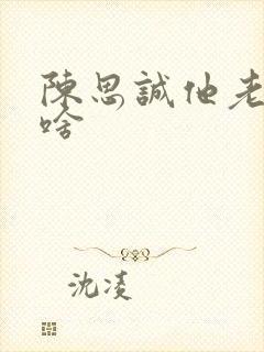 陈思诚他老婆叫啥