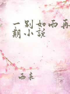 一别如雨再无归期小说